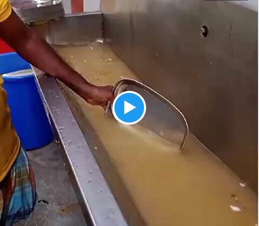 Tanuku is washing plates impurely in 'Anna Canteen'