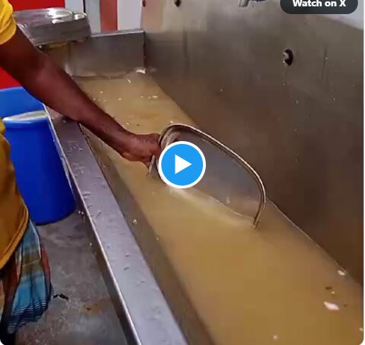 Tanuku is washing plates impurely in 'Anna Canteen'