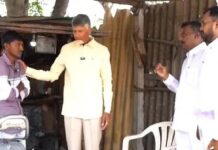 ‘బాబోరి’కి మళ్లీ పంచ్