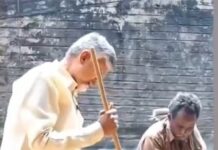 గేదెలకు కుడితి కలుపుతున్న చంద్రబాబు.. వైరల్ వీడియో