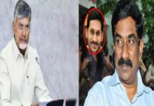 ఆర్కే ‘పచ్చ’పాతం