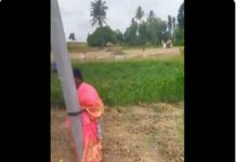 చంద్రబాబు ఇలాకాలో దారుణం