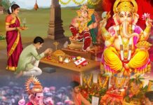 సనాతని.. వినాయక చవతి పట్టదా?