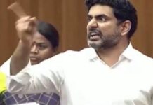 ఏం పీకారు..! అసెంబ్లీలో రెచ్చిపోయిన లోకేష్