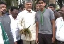 చంద్రబాబుకే పంచ్ వేశారు.. వైరల్ వీడియో