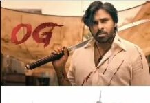 పవన్ కళ్యాణ్ ను ప్రశ్నించిన బాలుడు