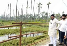 పవన్ ను అందుకే టార్గెట్ చేశారా?