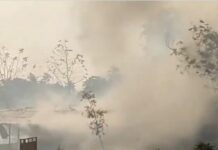 ఏపీలో అంతులేనితీరని విషాదం.. 18 మంది మృత్యువాత