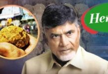 ఇందాపూర్ డెయిరీపై ఎన్టీవీ బిగ్ బ్లాస్ట్.. హెరిటేజ్తో సంబంధాలేమిటి?