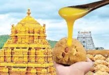 కల్తీ నెయ్యి.. హెరిటేజ్ లింకులు